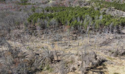 Caswell Co. NC 8.64-Skyview-Lot 6-40