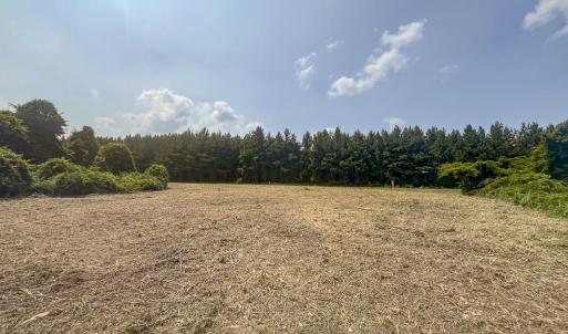 Caswell Co. NC 8.64-Skyview-Lot 6-15