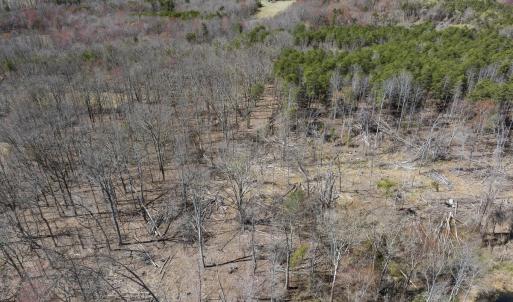 Caswell Co. NC 8.64-Skyview-Lot 6-33