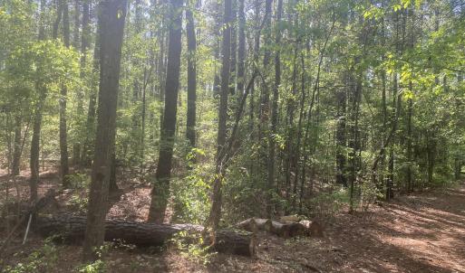 05AA8E8A-FFBE-4CC9-A41B-97B0A0E980B6