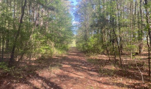 25B9363D-2D0F-406E-9A8A-812C7F01DF05