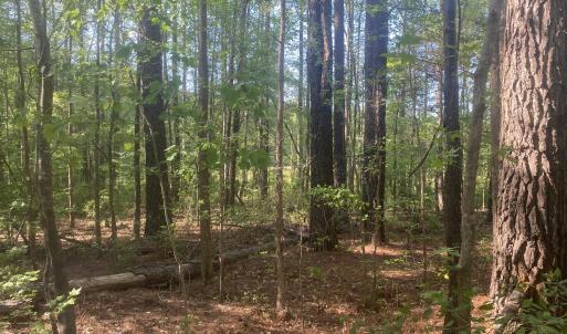 5F2EECBC-20AB-4A7B-A4A8-D5F321C0FDF2