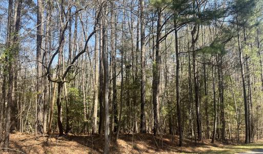 55137163-9CFA-4297-8DF9-04B5ACA00C25