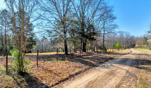 03-DJI_20250322095337_0001_D