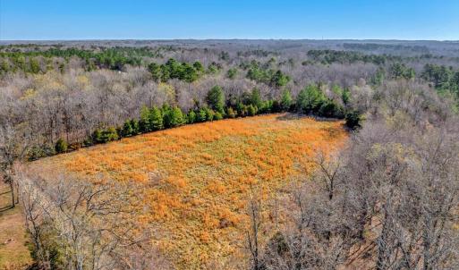 22-DJI_20250322100442_0061_D