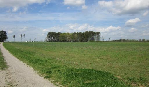 IMG_1408