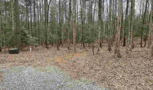 Unimproved Land
