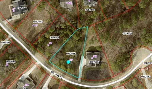 Lot 478 123 Bur Oak Aerial_041425