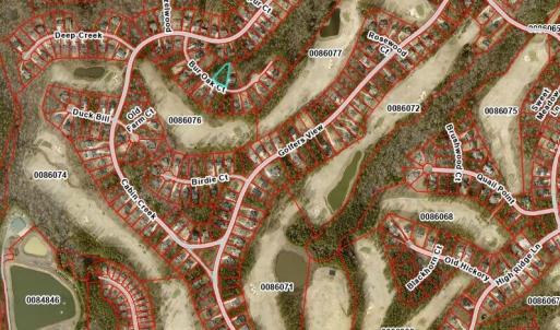 Lot 478 123 Bur Oak Vicinity Map_041425