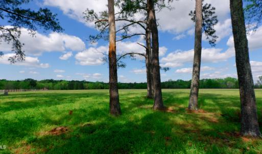 Cameron NC Ground Still05