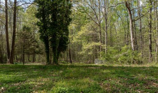 WATKINS RD-53