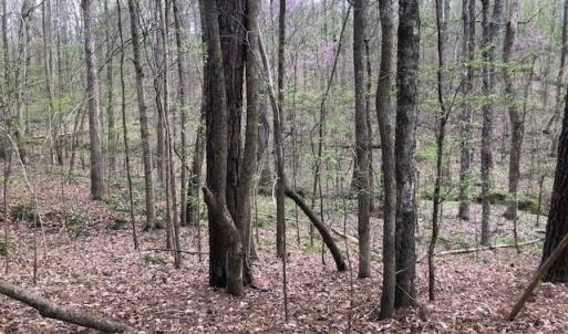 The property slopes down