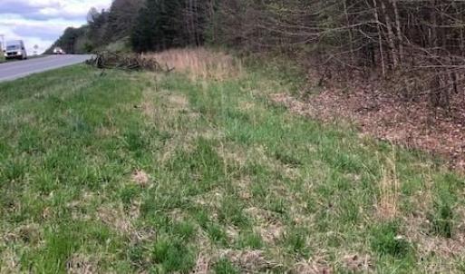 Wake Forest Highway Street Frontage