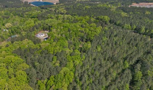 7-7235 Cass Holt-7