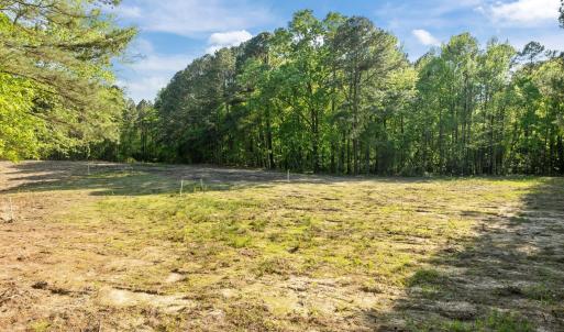 3-web-or-mls-DJI_0633