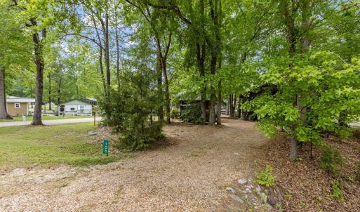 33-web-or-mls-2N6A4672