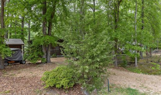34-web-or-mls-2N6A4673