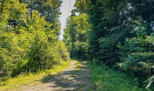 40-031-1604BonleeSchoolRd-Parcel-4625-48