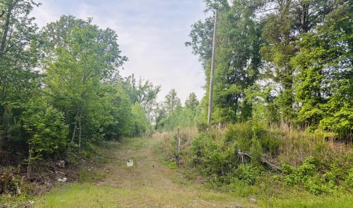 Green land front pic 1