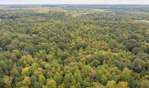 4501 Mill Creek Rd land-12