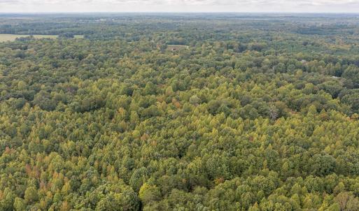 4501 Mill Creek Rd land-23