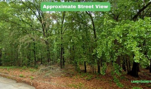3. Street View