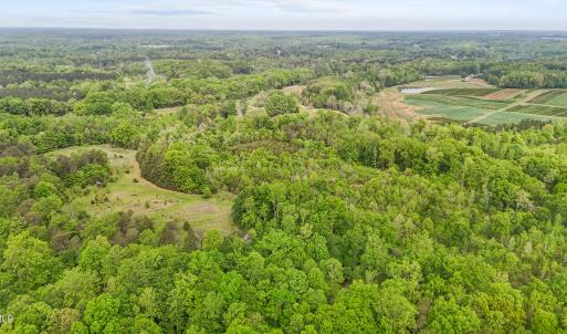 9-print-DJI_20250422105303_0009_D