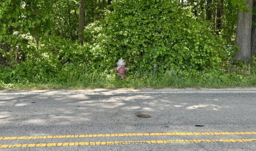 Fire Hydrant - 1821 S. Mineral Springs R
