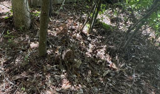 Sewer manhole distance to property line