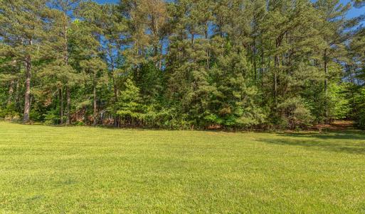 Rear Border of Homesite
