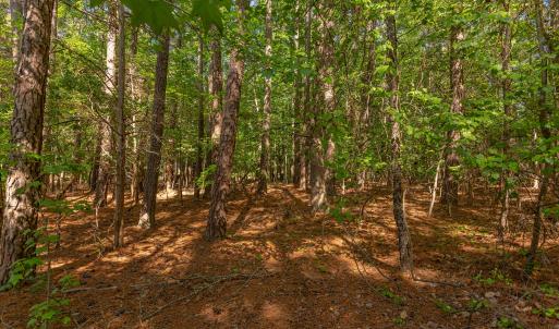 Homesite interior
