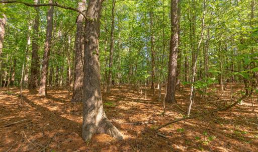Homesite interior