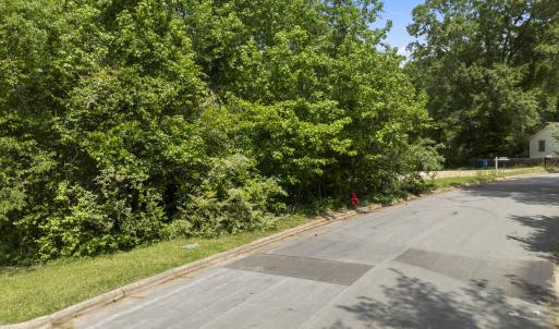 Wooded side of lot