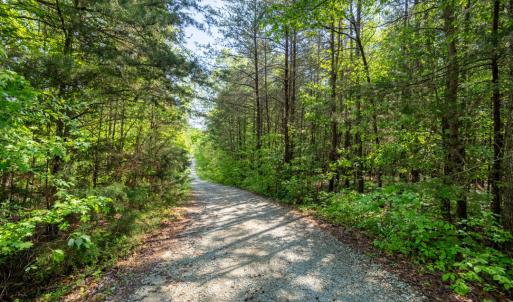DSC05938-HDR