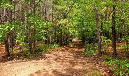 29-web-or-mls-s-plank-rd