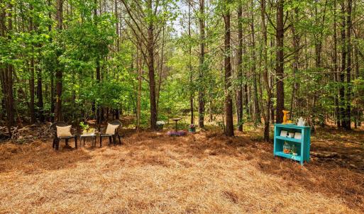 26-web-or-mls-s-plank-rd