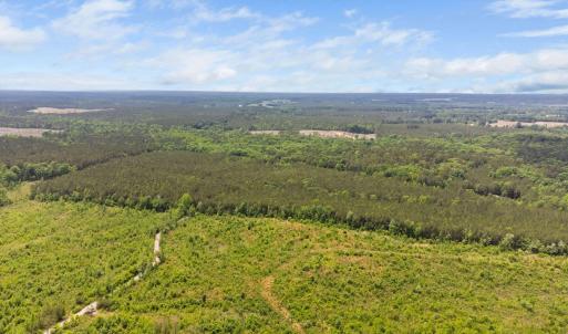 14-web-or-mls-s-plank-rd