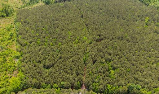 11-web-or-mls-s-plank-rd