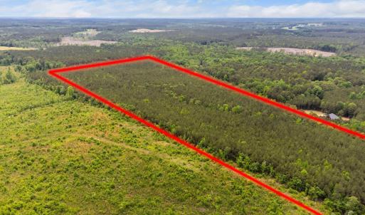 3-web-or-mls-s-plank-rd