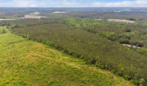 2-web-or-mls-s-plank-rd