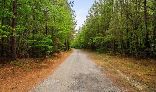 34-web-or-mls-s-plank-rd