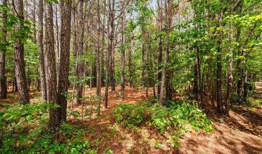 33-web-or-mls-s-plank-rd