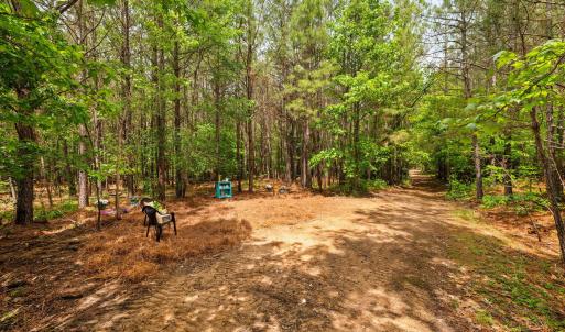 28-web-or-mls-s-plank-rd