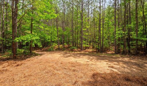 27-web-or-mls-s-plank-rd