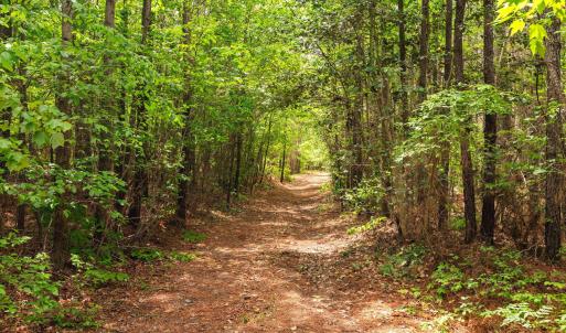 22-web-or-mls-s-plank-rd