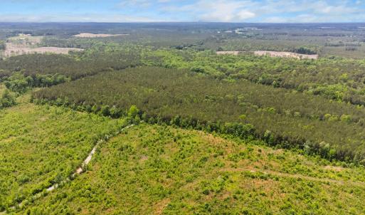 15-web-or-mls-s-plank-rd