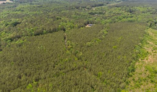 12-web-or-mls-s-plank-rd