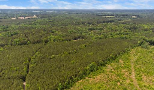 9-web-or-mls-s-plank-rd