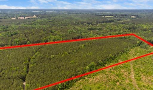 5-web-or-mls-s-plank-rd