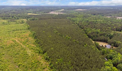 4-web-or-mls-s-plank-rd